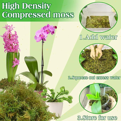 Halatool 1.1LB Green Moss for Potted Plants, 25QT Orchid Moss Potting Mix, Forest Moss for Indoor Plants, Indoor Potting Plant Moss for Repotting Terrariums Garden Reptiles