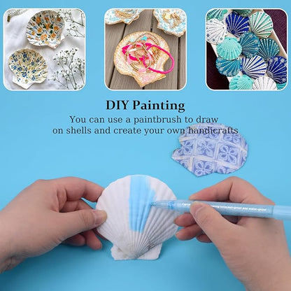 30PCS Scallop Shells for Crafts 2''-3'' Natural White Large Shells Decoration for DIY Craft Painting, Home Decor, Baking and Beach, Wedding Party Decoration