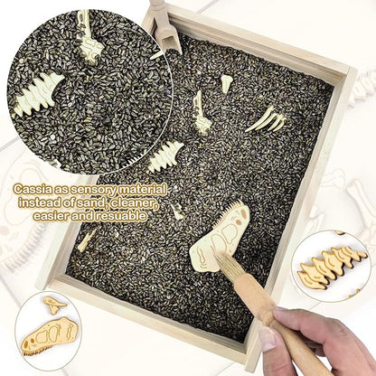 Xylolin Dinosaur Excavation Archaeology Dig Kit for Kids, Fossil Explore Sensory Bin Toys, Dino Skeletons Bones Puzzle Game, Archaeology Science STEM Toys for Boys and Girls (Tyrannosaurus)