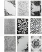 9Pcs Plastic Embossing Folders for Card Making Embossing Machine Template Mold Paper Card Embossing Stencil Flower Leaf Embossing Folder for Scrapbook Photo Album DIY Craft Decoration,4.1 x 5.8inch