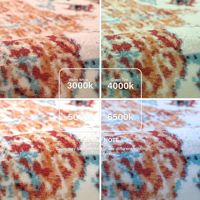 Lahome Area Rugs 9x12 Living Room Rug,Large Boho 9 x 12 Area Rugs for Living Room Washable Bedroom Rug,Boho Vintage Soft Non-Slip Printed Indoor Carpet for Dining Room Home Office(9x12ft,Orange)