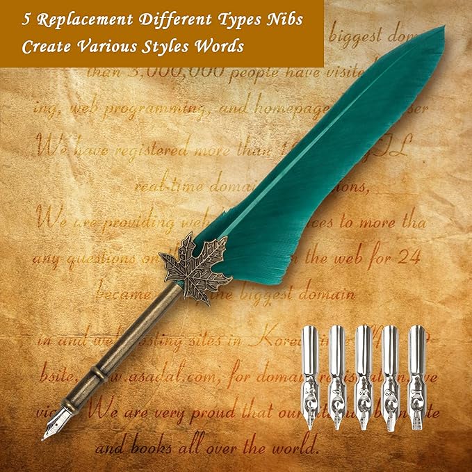 AHIER Quill Pen and Ink Set, Feather Pen Quill Pen Set Includes 5 Steel Replacement Nibs,Pen Nib Base and Dip Ink Bottle for Antique Calligraphy