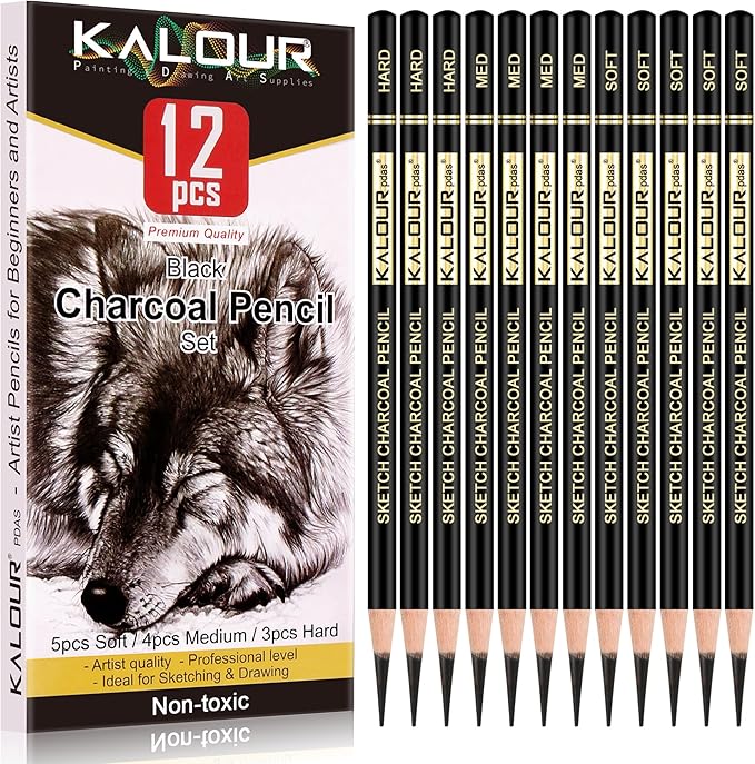 KALOUR Professional Charcoal Pencils Drawing Set -12 Pieces Soft, Medium and Hard Charcoal Pencils for Drawing, Sketching, Shading, Artist Pencils for Beginners & Artists