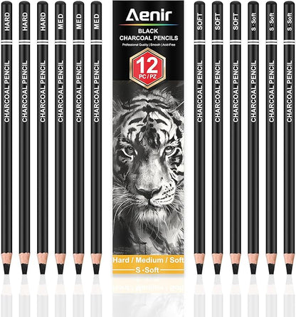 Charcoal Pencils for drawing, Set of 12, Charcoal Drawing Pencils (S-Soft, Soft, Medium, Hard), Art Supplies for Artist, Sketching, Shading