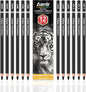 Charcoal Pencils for drawing, Set of 12, Charcoal Drawing Pencils (S-Soft, Soft, Medium, Hard), Art Supplies for Artist, Sketching, Shading