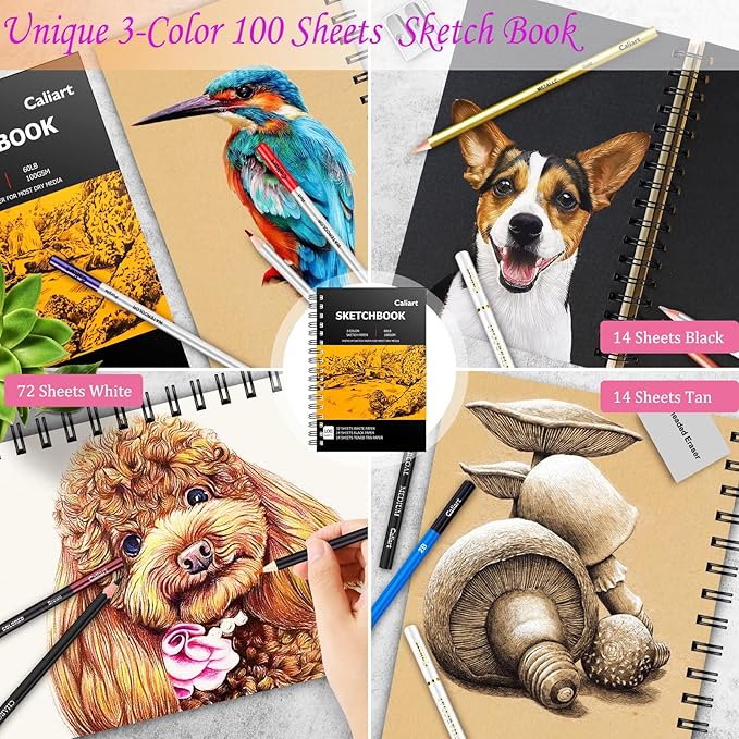 Caliart 176PCS Art Supplies Sketching Kit with 100 Sheets 3-Color Sketch Book, Graphite Colored Charcoal Watercolor & Metallic Pencils, Drawing Set Christmas Gifts for Adults Teens Girls Boys Kids