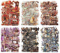 240Pcs PET Scrapbook Stickers Vintage Floral Designs for Scrapbooking DIY Crafts Waterproof Journaling Supplies Junk Journal Ephemera with Storage Organizer