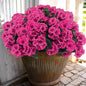 Hananona Artificial Geranium Flowers for Outdoors Geranium Silk Flowers Outdoor UV Resistant Garden Plants Faux Flowers for Home Kitchen Table Centerpieces Decor (12, Rose Red)