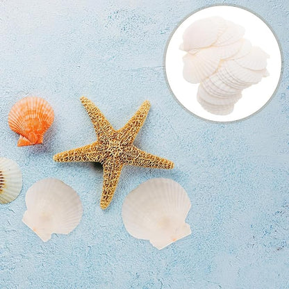 GLEAVI Scallop Shells for Crafts: 21pcs Natural Scallop Shells Bulk 3.14 Inch Sea Shell Decoration for Ocean Themed Parties and Home Decor