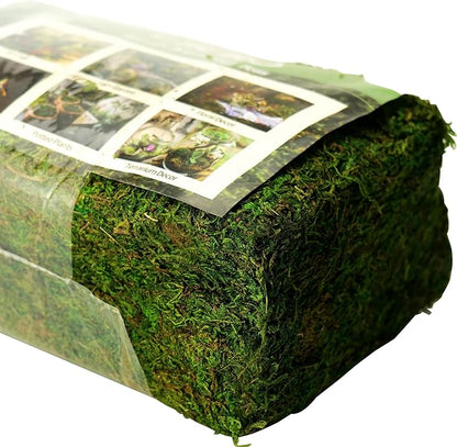 Moss for Plants Indoor, 16OZ Fresh Green Artificial Moss for DIY Crafts, Table Centerpieces- Faux Grass for Hamsters Micro-Landscape Terrariums Centerpieces Decor (Fresh Green)