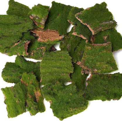 BYHER Assorted Artificial Moss Bark, Decorative Mossy Tree Bark for DIY Crafts, Fairy Gardens, Terrariums, Floral Arrangements (Realistic Green - 100gr)