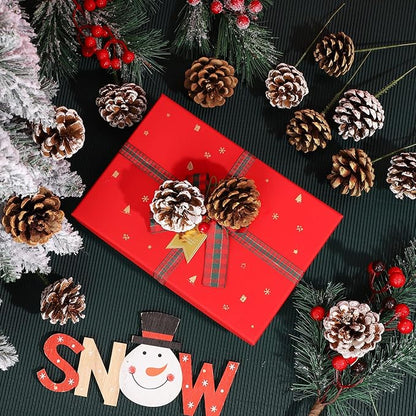 Fovths 24 Pieces Christmas Pine Cones Pick Pinecones Ornament Christmas Tree Decoration 2.4-3.1 Inches Pine Cones for Home Party Christmas Crafts (White, Natural)