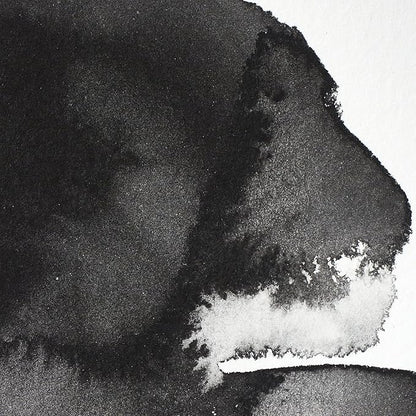 Winsor & Newton Professional Watercolor, Half Pan, Lamp Black