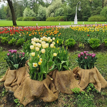 Garden Burlap Roll, 40" x 100 Feet Natural Jute Burlap Fabric Roll for Gardening Raised Bed Liners,Seed Cover,Edging,Weed Barrier,Aisle Runner Plant Cover Tree Protections (40" x 100 Feet)