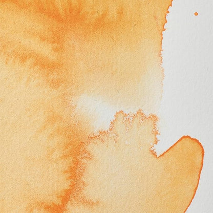 Winsor & Newton Professional Water Colour Paint, Half Pan, Cadmium Orange