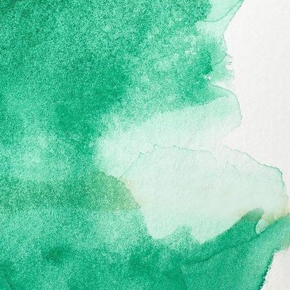 Winsor & Newton Professional Watercolor, Half Pan, Winsor Green Yellow Shade