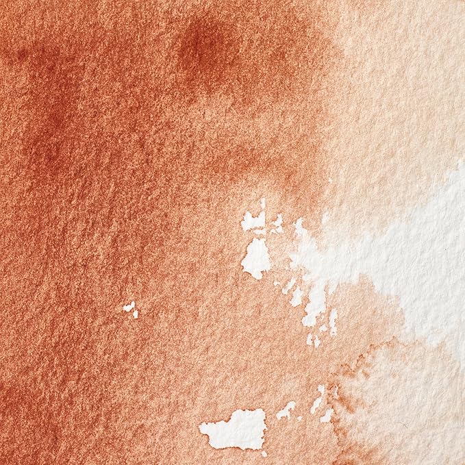 Winsor & Newton Professional Water Colour Paint, Half Pan, Burnt Sienna