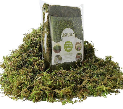 Fake Green Moss for Potted Plants, 4OZ Artificial Moss for DIY Crafts, Faux Moss for Table Centerpieces Fairy Garden Decor (Fresh Green 140gr)