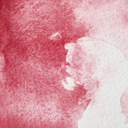Winsor & Newton Professional Water Colour Paint, Half Pan, Rose Madder