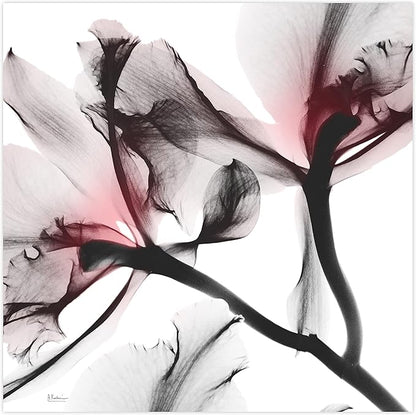 Empire Art Direct Frameless Free Floating Tempered Glass Panel Graphic Wall Art Ready to Hang, 24" x 24", Coral Luster