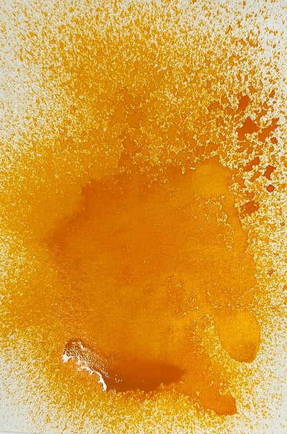 Csy art gallery Oxide Ink Spray-Water Reactive Dye Pigment-Acrylic Ink Spray for Sticky Back Canvas, Wood, Paper, Clay,Create Backgrounds On Cards (Mustard Seed)