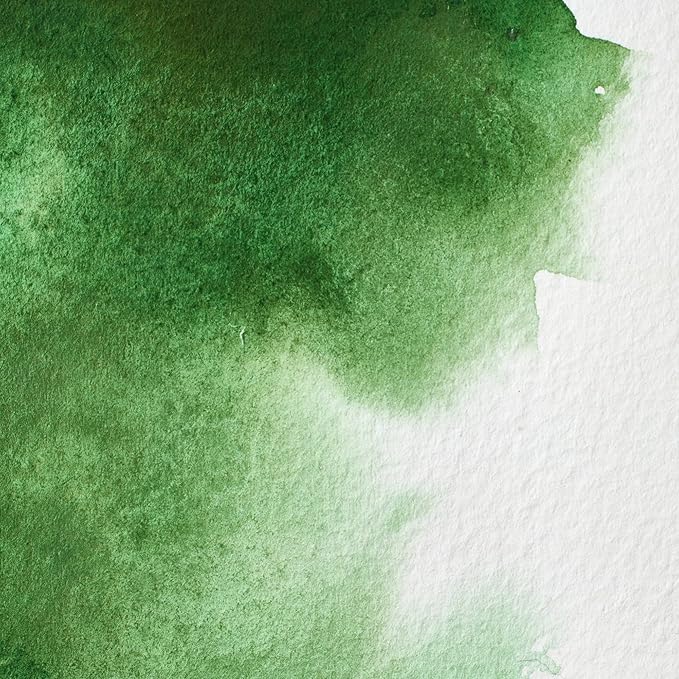 Winsor & Newton Professional Water Colour Paint, Half Pan, Hooker's Green