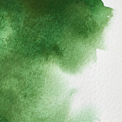 Winsor & Newton Professional Watercolor, 5ml (0.17-oz) Tube, Hooker's Green