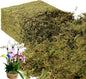 BYHER 35 OZ Large Capacity Fake Moss for Plants Indoor, Fresh Green Moss for Potted Plants Craft Moss for Home & Office Decor Fairy Garden Decoration (Fresh Green - 992gr)