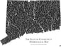 Muir Way Hydrological River Map of Connecticut - Watershed Topographic Wall Art for Home, Office, or Travel Decor - Unframed Flat Paper Print, 18x24