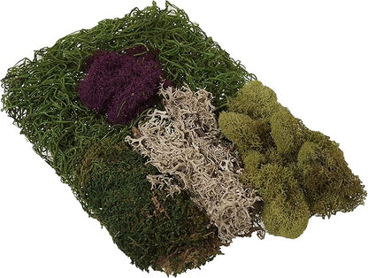 SuperMoss (23310) Moss Mix - Best Sellers, 80.75 Cubic Inch Bag (Appx. 2 Ounce)